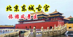 大鸡巴操我好爽啊视频中国北京-东城古宫旅游风景区